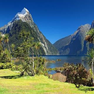 Mr Blair Anderson: Learn about New Zealand