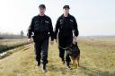 Práca psovodov z Odboru poriadkovej polície OR PZ v Leviciach