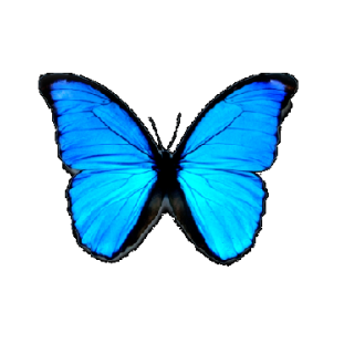 „W cudownym świecie z Wami - Niebieskimi Motylami”