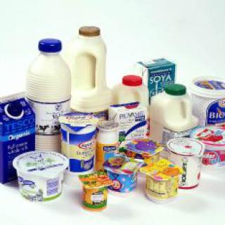 Svetový deň mlieka v školách