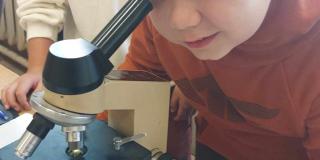 Obserwacje mikroskopowe na lekcji biologii w kl.V