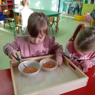 Ogólnopolskim Projekcie Edukacyjnym „W świecie Montessori”