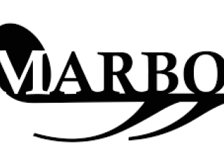 Koncert skupiny Marbo