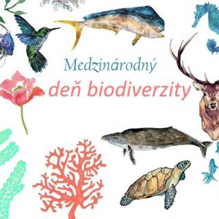Medzinárodný deň biodiverzity - International Day for biological diversity