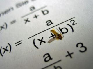 „Matematyka jest niezależnym światem stworzonym przez czystą inteligencję”