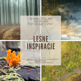 XI Małopolski Konkurs Fotograficzny „Leśne Inspiracje” 
