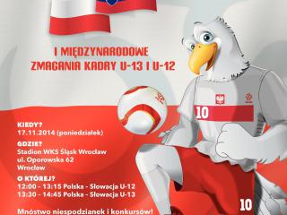 Mecz Polska - Słowacja