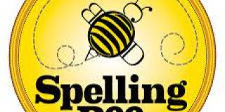 Spelling Bee - školské kolo starších žiakov