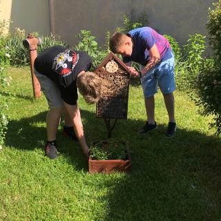 Dwaj chłopcy ustawiający domek dla owadów na trawie.