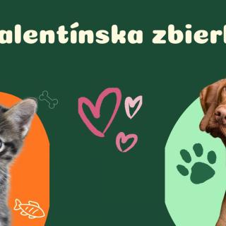 Valentínska láska pre zvieratká