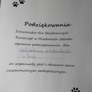 Kolejna zbiórka rzeczy potrzebnych bezdomnym psom i kotom w Miedarach