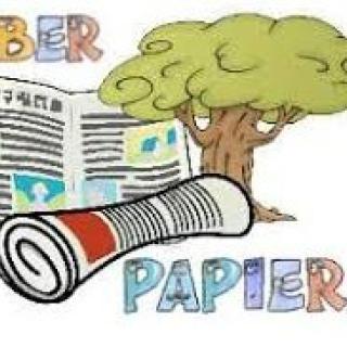 Zber papiera – vyhodnotenie