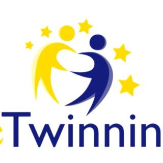 Vyhodnotenie e-twinningového projektu 