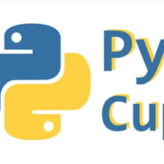 Python Cup 2021