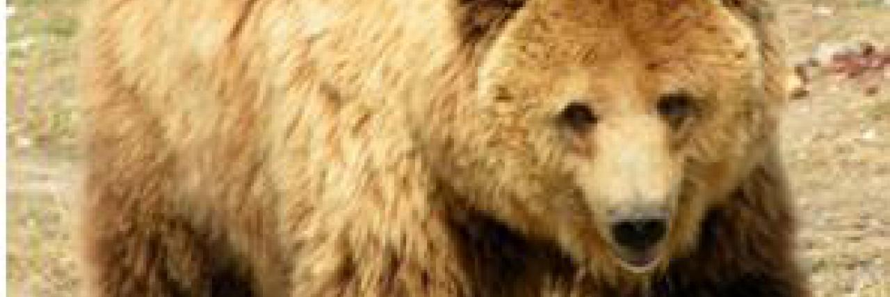 Wycieczka do Jaskini Niedźwiedziej w Kletnie