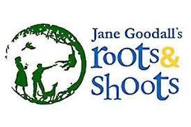 Roots&Shoots