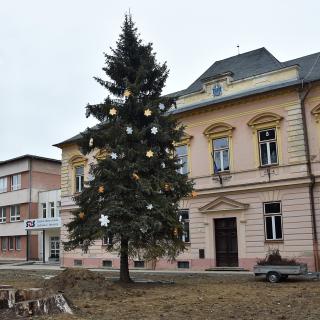 Ozdobili sme živý vianočný stromček pred školou