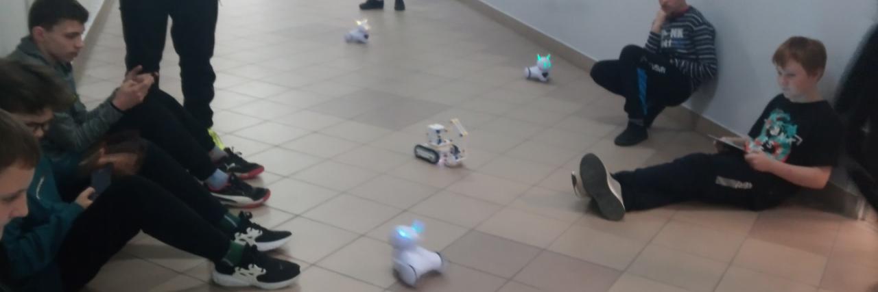 Robotyka i informatyka z robotami edukacyjnymi