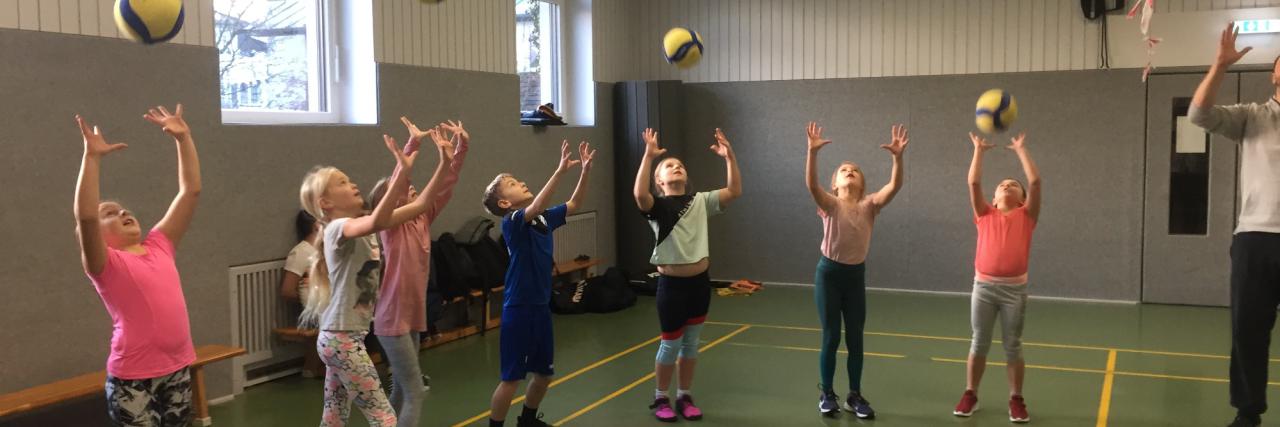 Volleyball macht nicht nur Schule ...