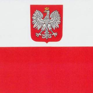 🤍❤️105 rocznica Odzyskania przez Polskę Niepodległości