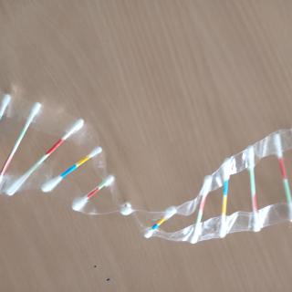 Modele DNA klasa 8