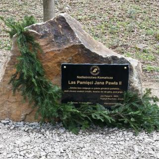 Sadzenie Lasu Pamięci Jana Pawła II