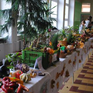 Výstava ovocia a zeleniny ZŠ