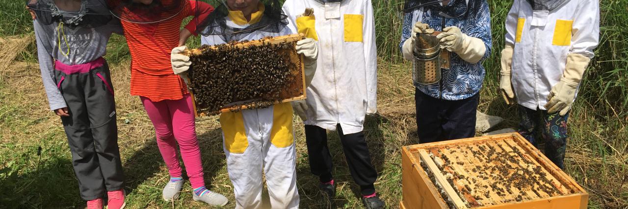 Exkurze za včelami