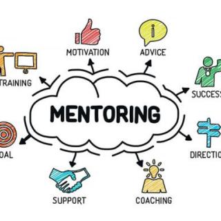 VÝZVA na mentoring