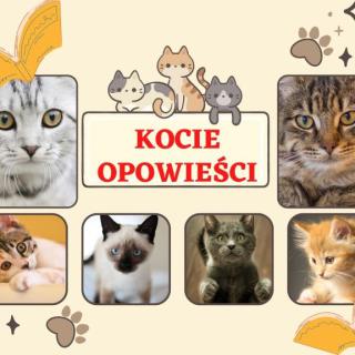 Światowy Dzień Kota – koty są dobre na wszystko!