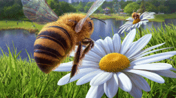 Sezon pszczelarski 2023  rozpoczęty