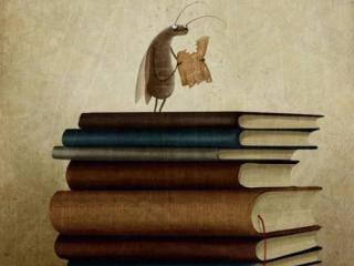 Wyniki szkolnego Konkursu czytelniczego „W każdej szkole są książkowe mole”