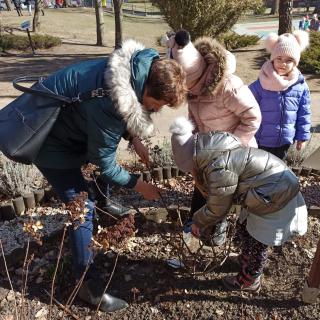 " Szukamy wiosny" - przedszkolaki pielęgnują ogród.