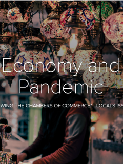 Economy and Pandemic