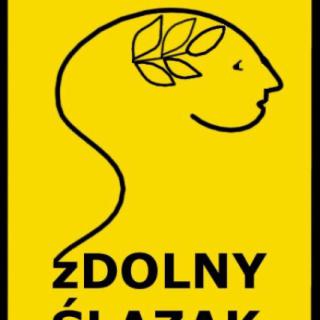 zDolny Ślązak z j. polskiego