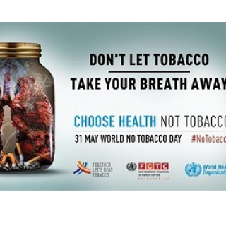 Światowy Dzień bez Tytoniu 