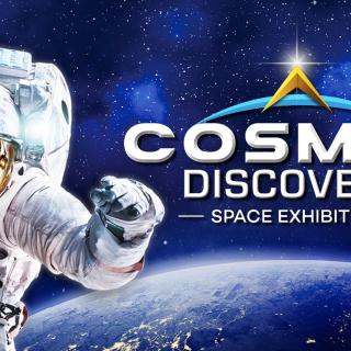 Výstava Cosmos