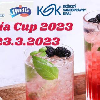 Cassovia cup 2023