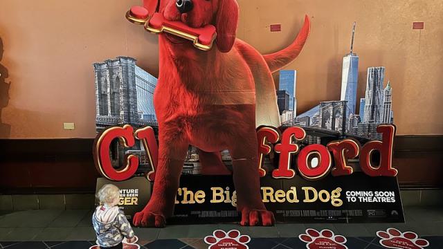 Wielki Czerwony Pies
