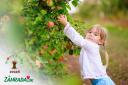 Pomôžte nám vyhrať ovocnú záhradu pre deti - VYHODNOTENIE