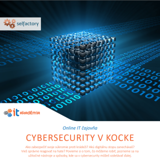 Cybersecurity v kocke