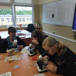 Mikroskop na lekcjach biologii 