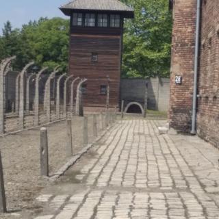 NUMERY MÓWIĄ… czyli wycieczka edukacyjna klas ósmych do największego nazistowskiego obozu koncentracyjnego i ośrodka zagłady AUSCHWITZ- BIRKENAU