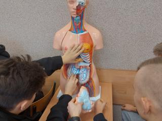 Lekcja anatomii