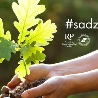Akcja sadzenia drzew pod nazwą #sadziMy