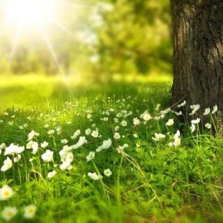 Konkurs - „Der Frühling – die schönste Jahreszeit” 
