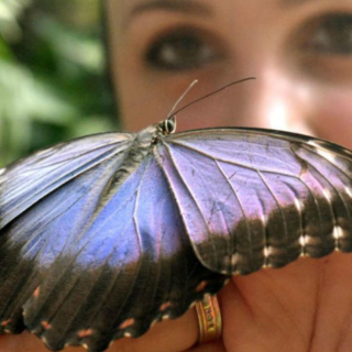 Zážitkové učenie Motýlia záhrada, pokusy a experimenty