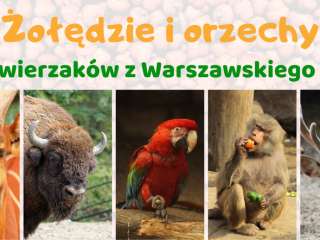 Zbiórka orzechów i żołędzi dla Warszawskiego ZOO