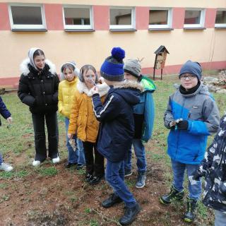Działania ekologiczne w szkole  