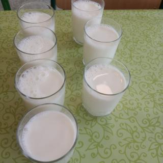 Biely deň – Svetový deň mlieka v školách